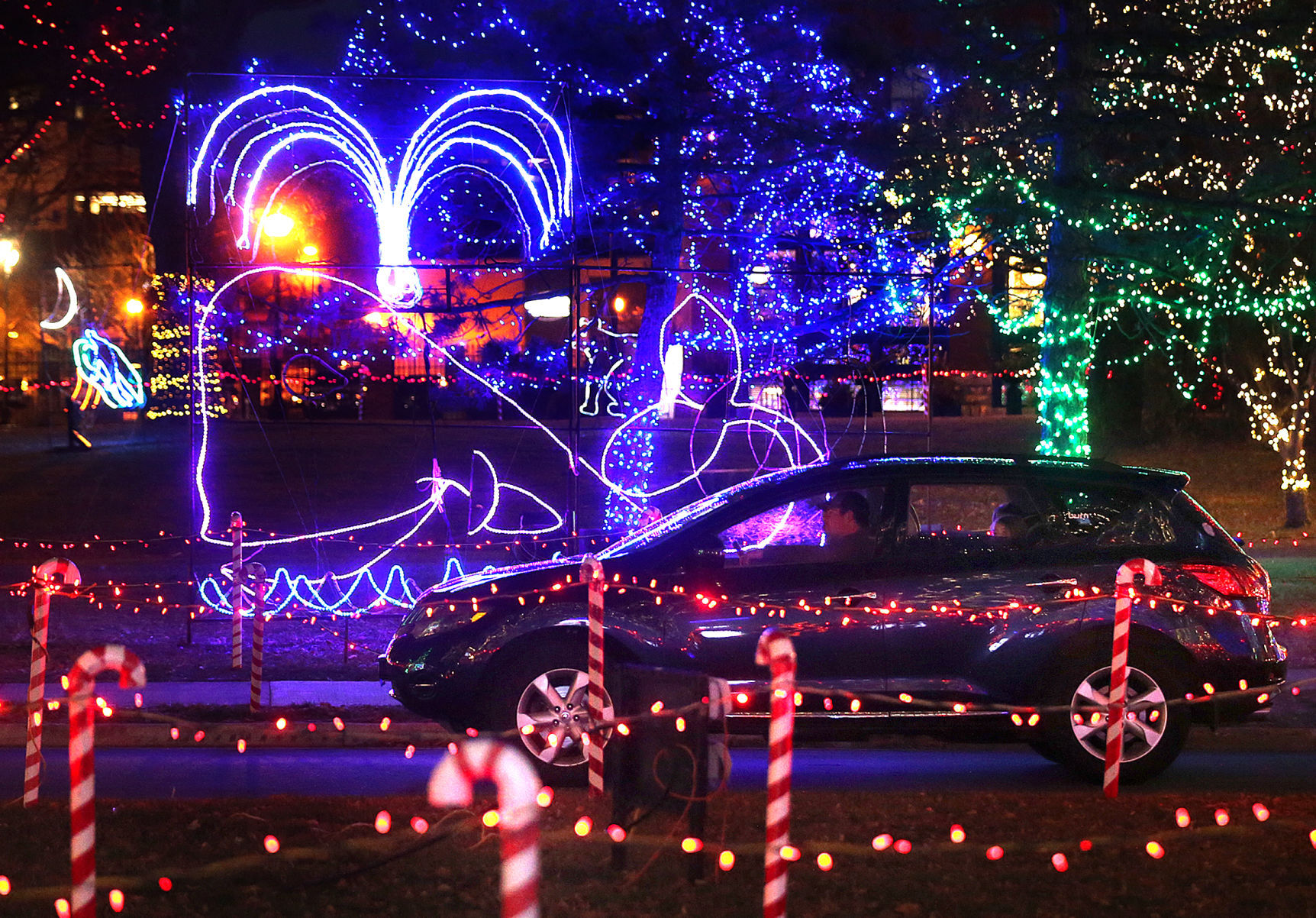 Rotary Lights 2020